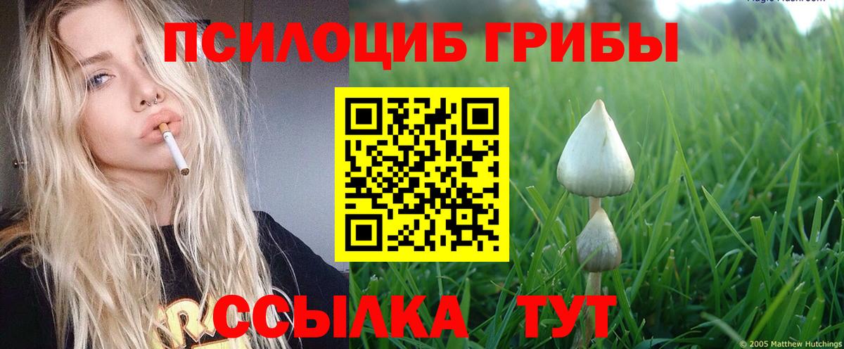 Конопля  ЭКСТАЗИ  Вход с VPN  Заволжье  MDMA  ГАШИШ  Меф кристаллы  Как найти наркотики? 